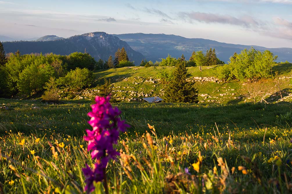 location vacances jura metabief azureva montagne nature